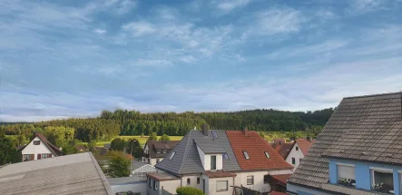 Aussicht - Wohnung kaufen in Bitz - 2-3-Zi-Whg - Umbau zu 4-Zi-Whg. möglich - Platz für die kleine Familie bezahlbar