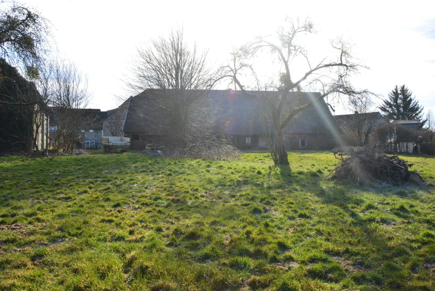 Gartenansicht zum Haus