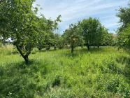 Grundstück - Obstbaumwiese