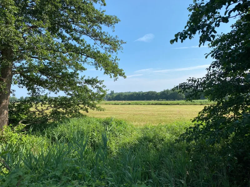 Ausblick hinterm Grundstück