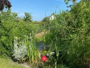 kleiner Gartenteich