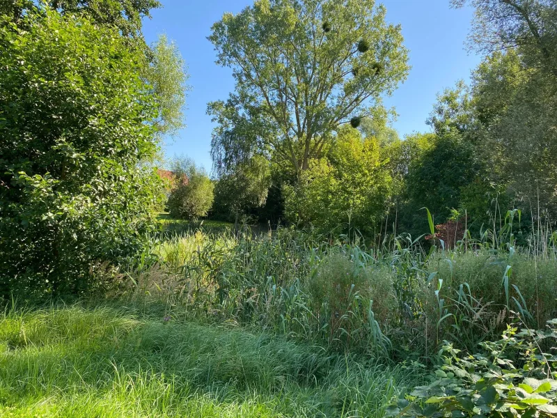 kleiner Teich auf Hofseite