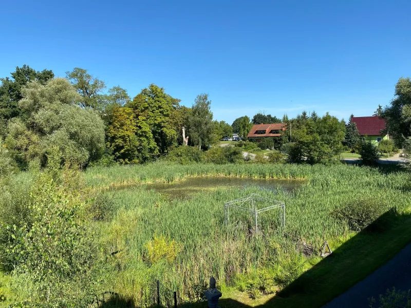 großer Teich an Vorderseite