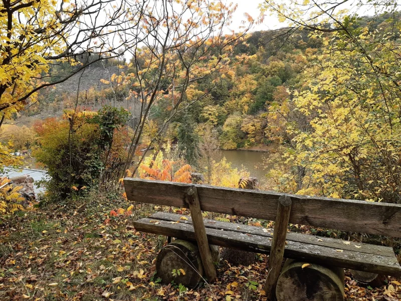 Blick zum Möllendorfer Teich