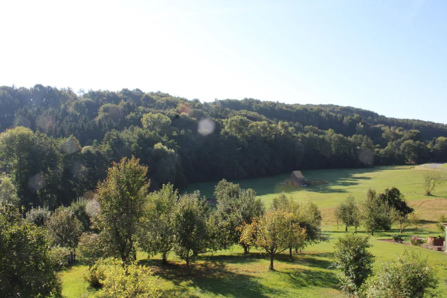 Panoramablick vom Balkon OG