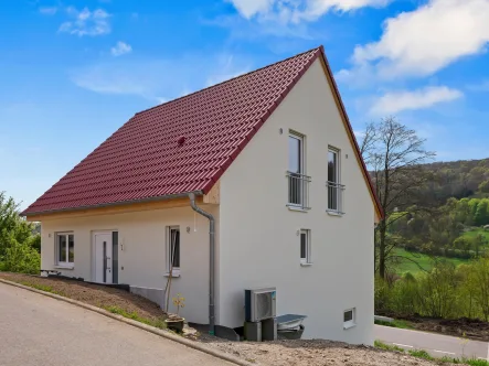 Nordansicht - Haus kaufen in Langenburg - Neu gebaute Wohnidylle mit Traumblick