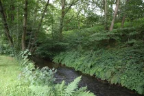 idyllische Lage an der Elsava