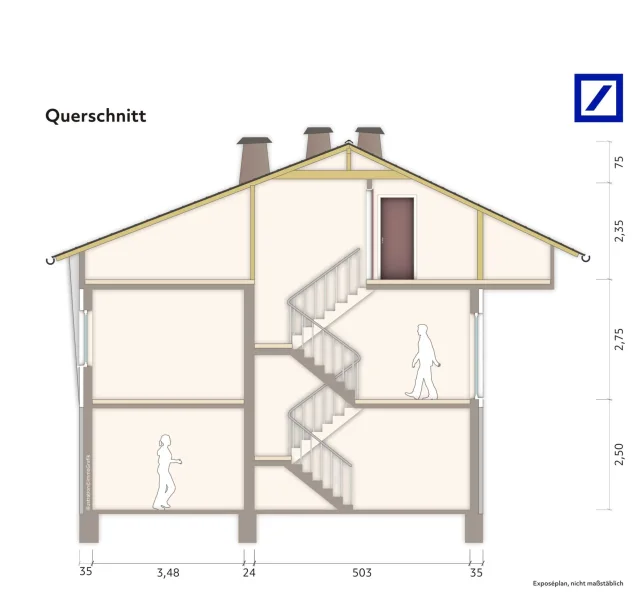 Querschnitt