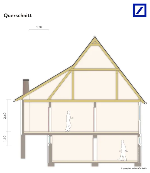 Querschnitt