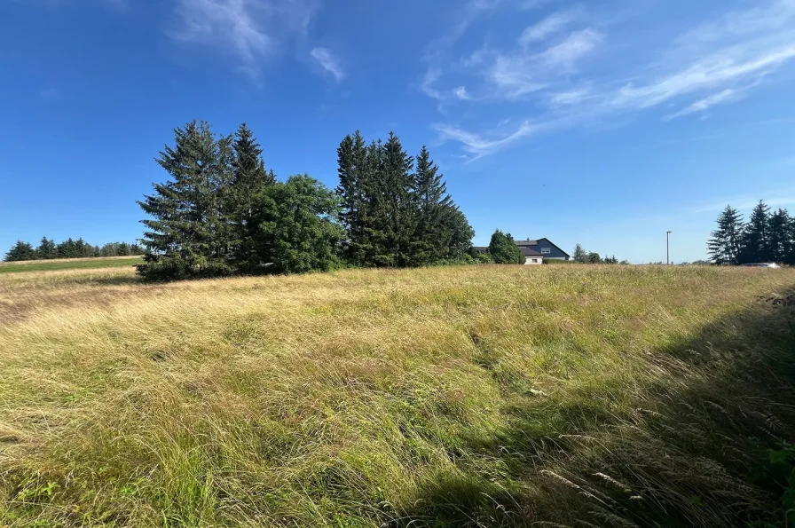 Blick Richtung Süden