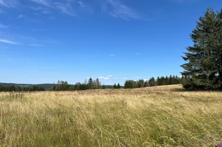 Blick Richtung Osten - Grundstück kaufen in Föritztal - Naturnah und ruhig: Perfektes Grundstück für Ihr Traumhaus in Sonneberg-Neuenbau