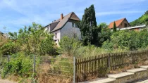 Garten mit Blick aufs Haus