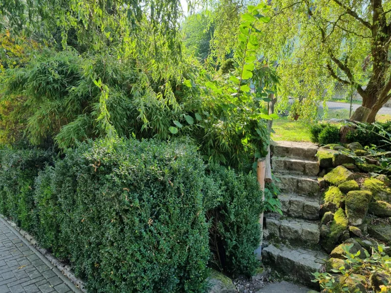 Treppe zur Terrasse