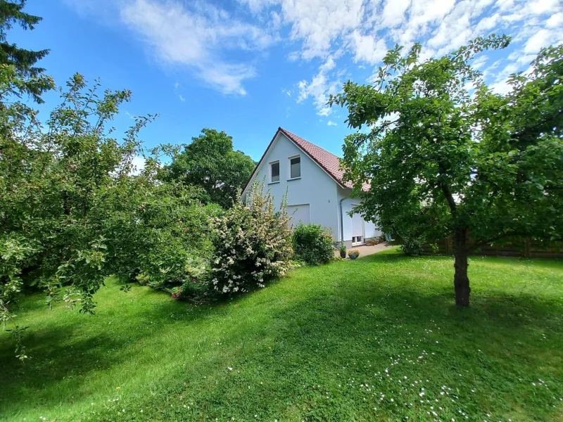 Blick vom Schuppen Richtung Ha