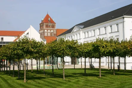 35345611-Landesmuseum - Haus kaufen in Greifswald - Mehrfamilienhaus in hochattraktiver Lage Greifswalds