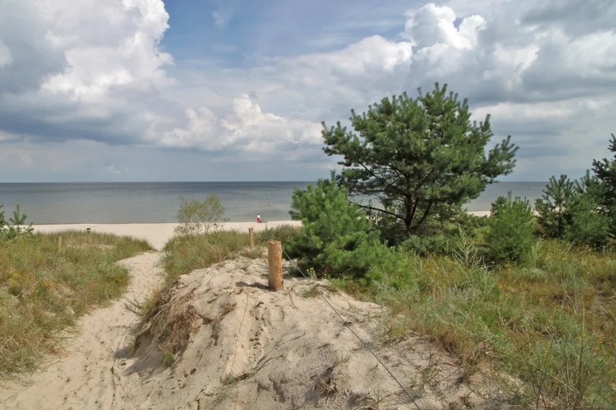 Usedom-Nord-Strand - Grundstück kaufen in Peenemünde - Attraktives Grundstück - nahe der Ostsee in Peenemünde