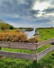 Naturhafen Stolpe