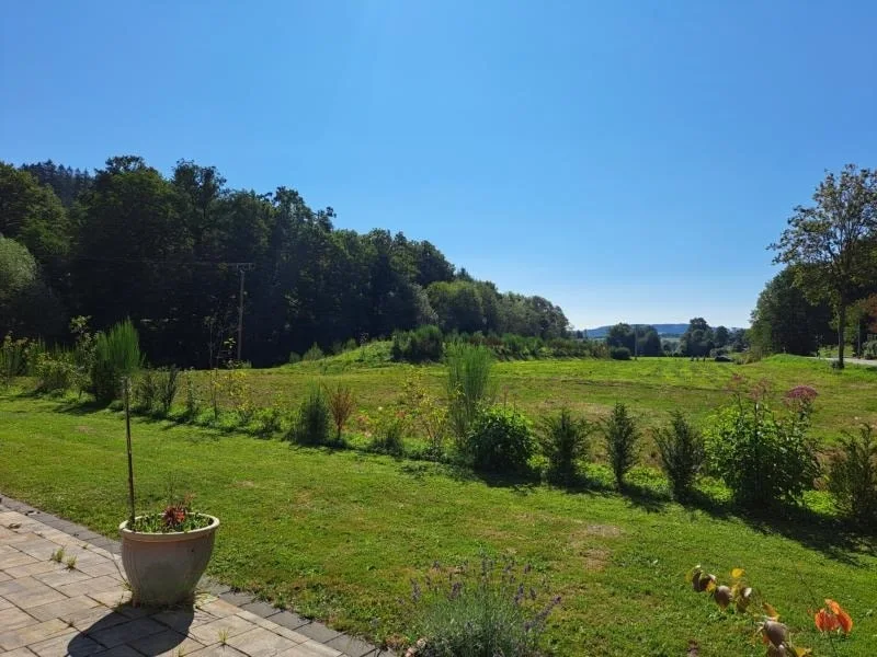 Blick vom Haus ins Grüne