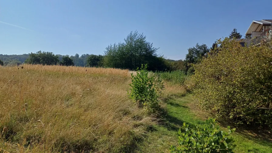 Blick über die Wiesen