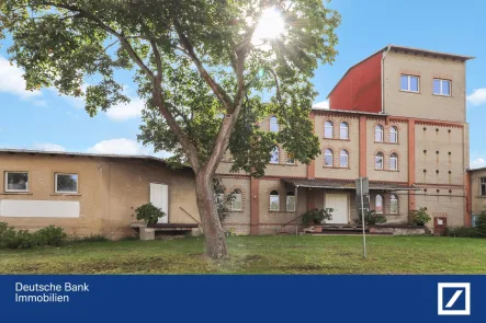 Straßenansicht - Haus kaufen in Arneburg - Einzigartiges Anwesen mit historischem Charme