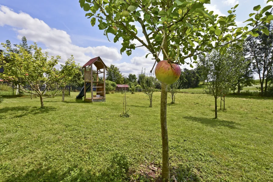 Blick in den Garten