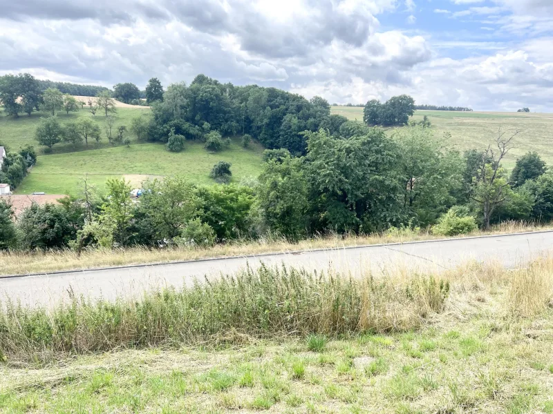 Blick ins Tal - Grundstück kaufen in Eineborn - Mein Traumbaugrundstück mit unverbindlichem Hausbauvorschlag