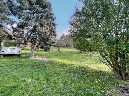 Blick in d. Garten NW Richtung - Haus kaufen in Apolda - Erst zupacken, dann einpacken und am Ende: Schön wohnen im Eigentum !