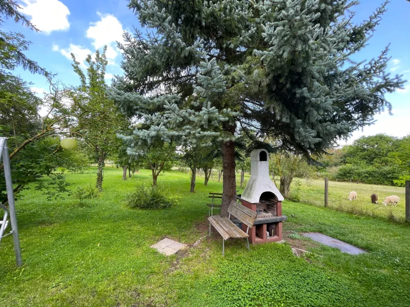 Blick in den Garten