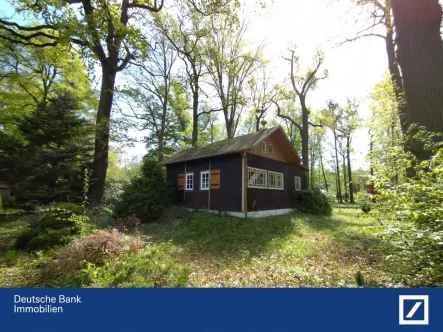 Ansicht - Grundstück kaufen in Brandis - Einzigartiges Grundstück mit hohem Baumbestand mitten in der grünen Siedlung Waldsteinberg