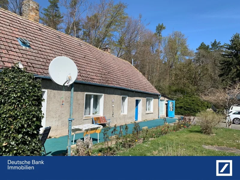 Ansicht - Haus kaufen in Schildau - Ein Projekt für Naturliebhaber - autark und ungestört das Leben genießen