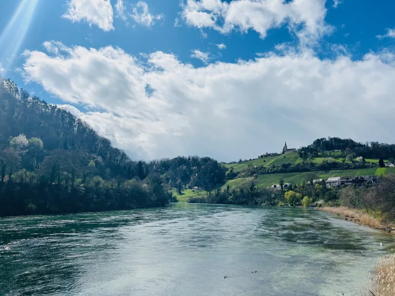 Rhein - Gastgewerbe/Hotel kaufen in Waldshut-Tiengen - Neuwertiges Hotel mit guter Ausstattung in sonniger Lage