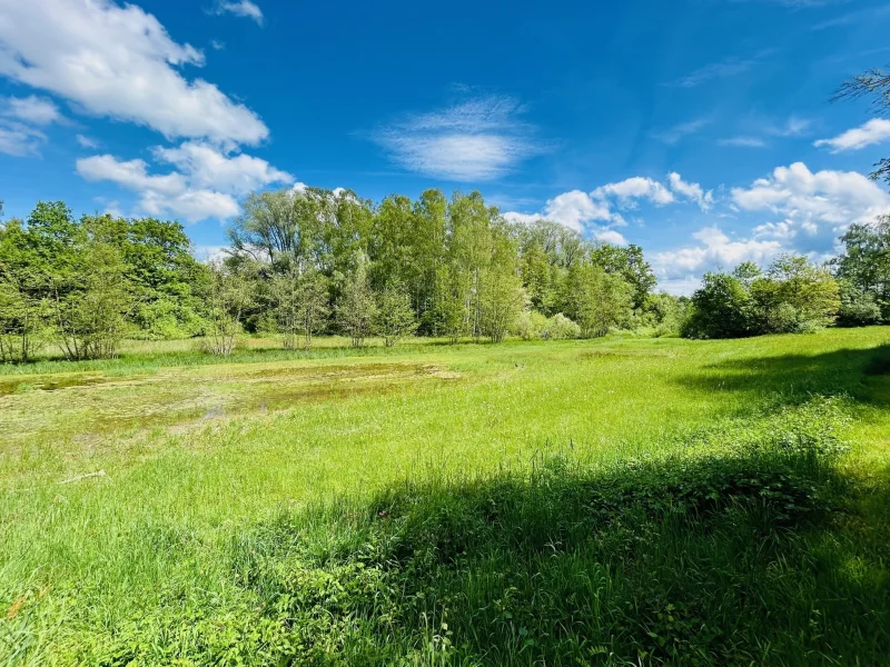 angrenzende Wiesen und Wälder