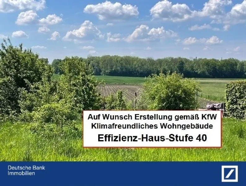 Ausblick nach Süden KfW - Wohnung kaufen in Bergheim - Hochwertige Neubauwohnung mit Balkon in unverbauter Südlage 