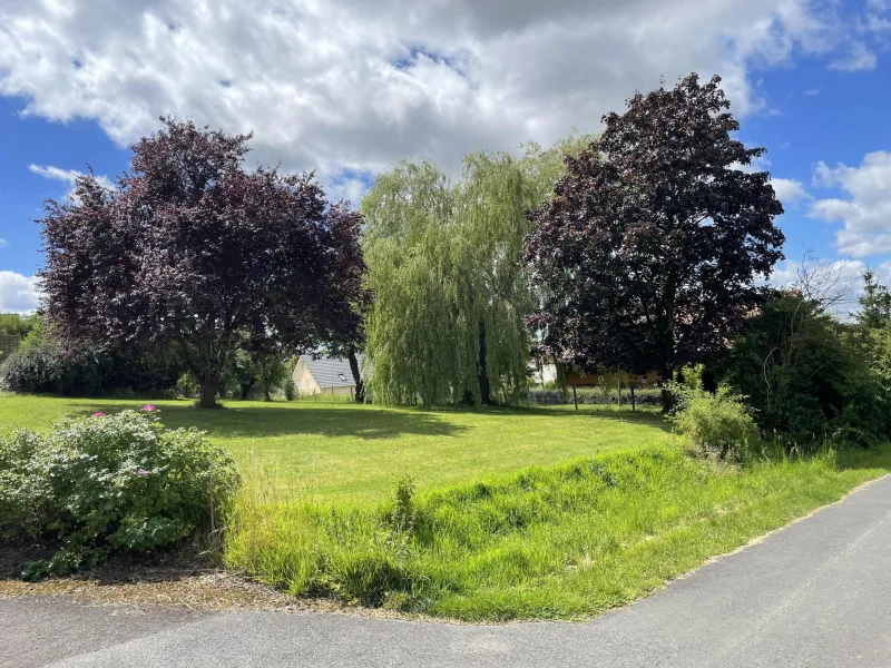 Platz für weitere Baupläne - Grundstück kaufen in Dransfeld - Einmaliges Anwesen auf ca. 3.933 m² , nur 15 Minuten von Göttingen entfernt