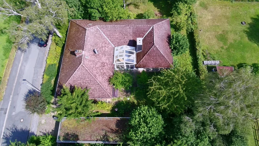 Grundstücksansicht - Haus kaufen in Seesen - Stilvoller Winkelbungalow mit Traumgarten