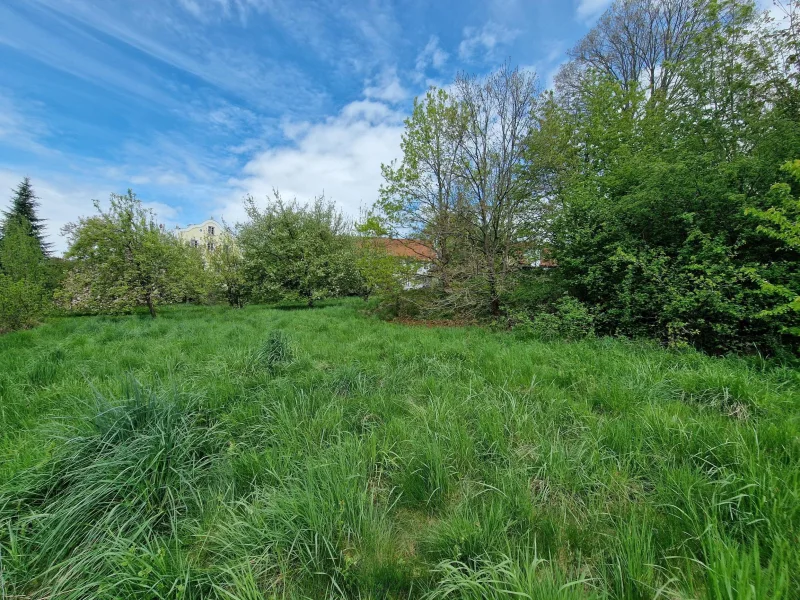  - Grundstück kaufen in Au - Großzügiges 3.072 m² Grundstück mit großem Baupotenzial