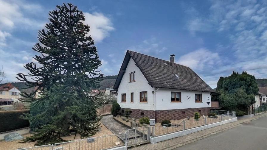 Straßenansicht - Haus kaufen in Höchst - Familientraum in sehr guter Lage.Im Preis reduziert !!!