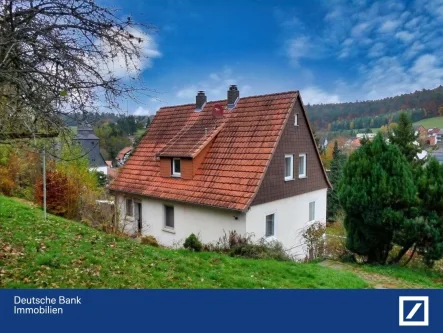 Ansicht Süden - Haus kaufen in Heringen -  Omas Häuschen sucht Familienanschluss !