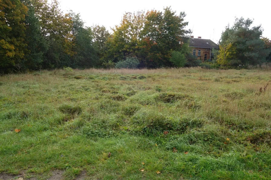 Wiesenfläche am Hinterhaus