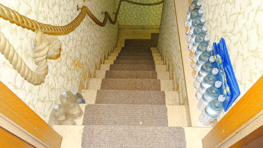 EG Treppe in Keller