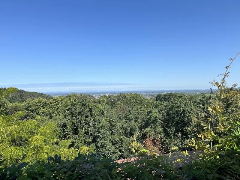 Ausblick 70% der Fensterfläche