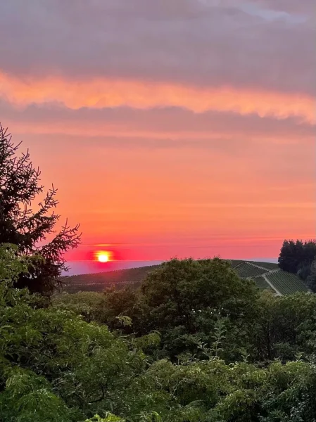 Abendstimmung auf der Terrasse