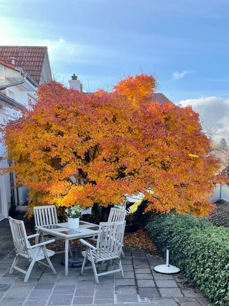 Terrasse vor dem Wohnbereich