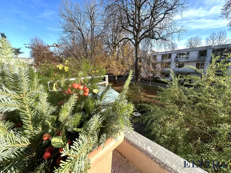 Aussicht Südterrasse