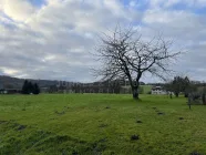 Blick auf die Felder und Wald