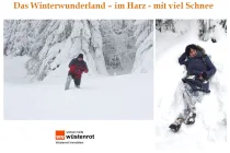 Hahnenklee Bild 11