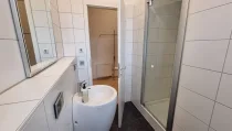 Das Gäste WC mit Dusche im EG.