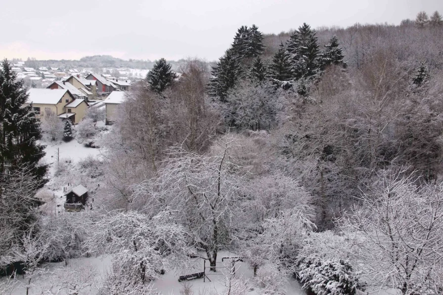 Blick aus dem Esszimmerfenster (2)