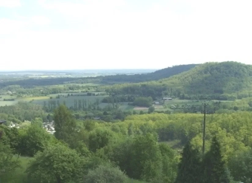 Ausblick ins Grün