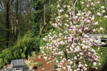 Ausblick in den Garten